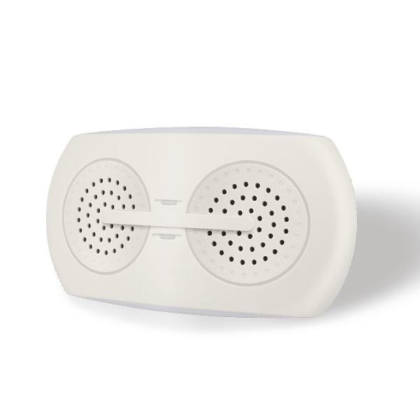 AOSION®  New Indoor Ultrasonic Pest And Insect Repeller AN-A838：